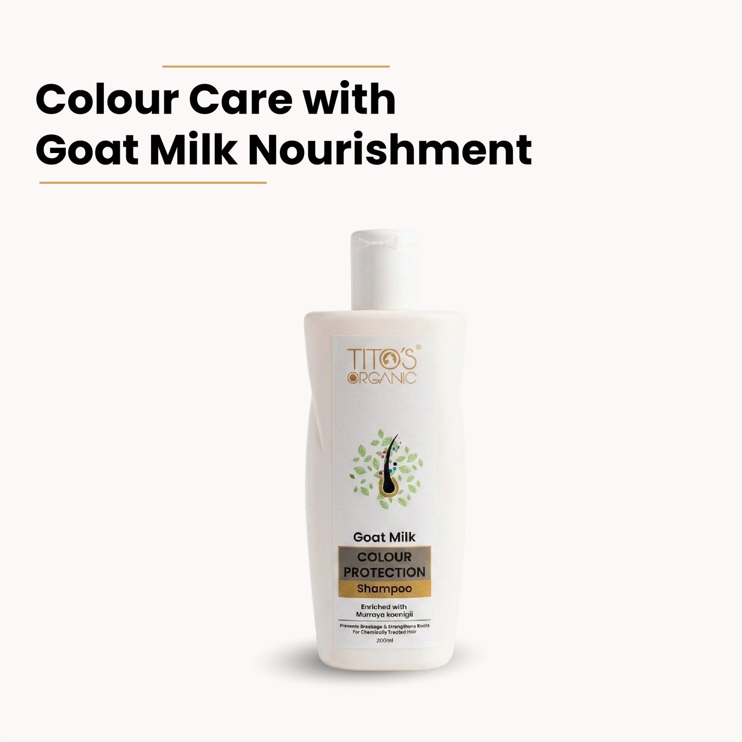 Tito’s Organic Goat Milk Colour Protection Shampoo with curry leaf oil for chemically treated hair, 200ml