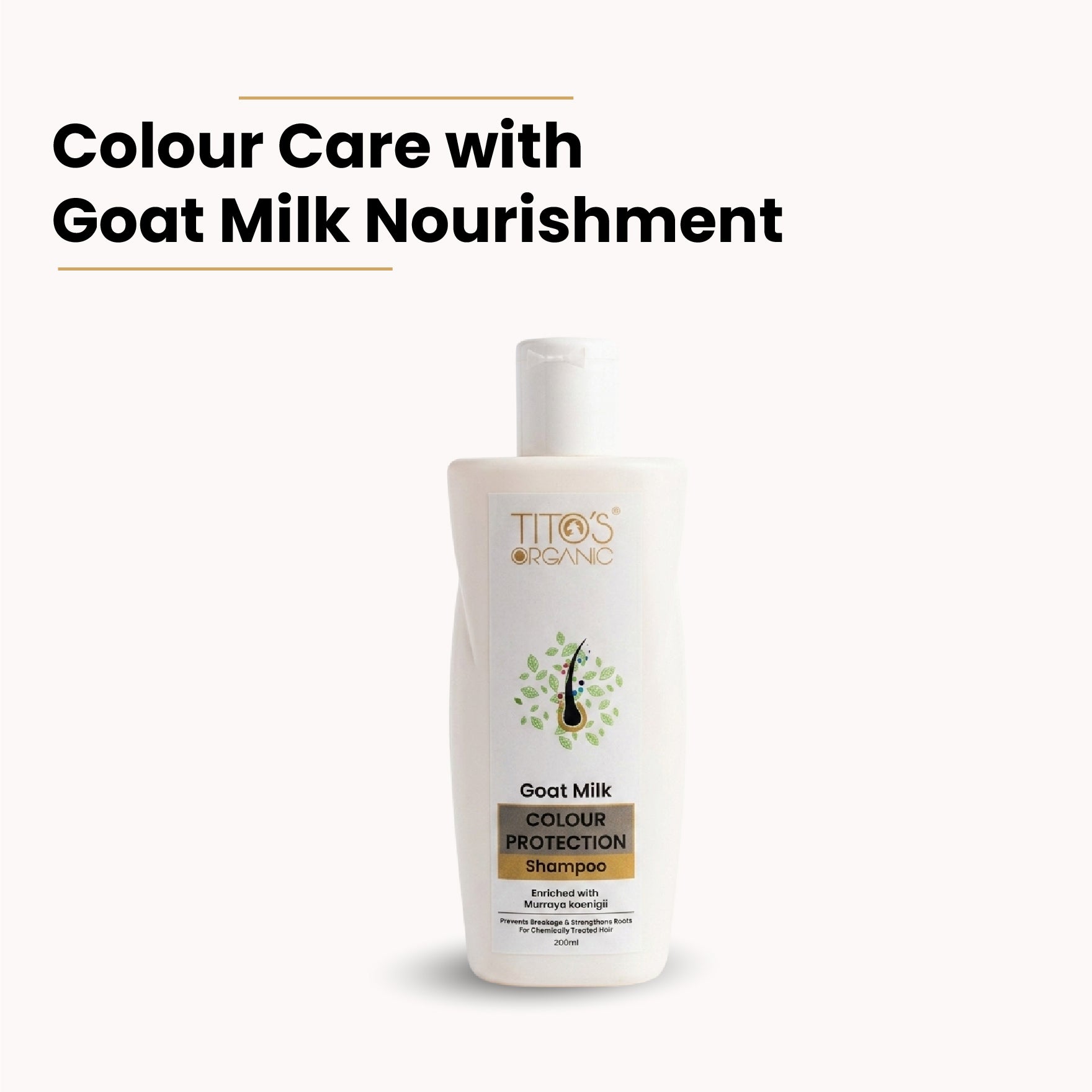 Tito’s Organic Goat Milk Colour Protection Shampoo with curry leaf oil for chemically treated hair, 200ml